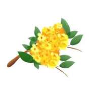 ヒメ日記 2026/09/19 16:00 投稿 まりあ セクシーキャット 神田店