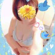 ヒメ日記 2024/12/27 21:59 投稿 千景 セクシーキャット 神田店