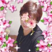 ヒメ日記 2025/07/12 16:04 投稿 千景 セクシーキャット 神田店