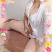 ヒメ日記 2026/02/14 15:12 投稿 千景 セクシーキャット 神田店