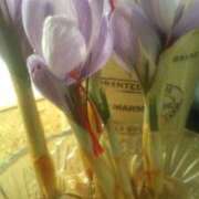 ヒメ日記 2024/12/14 14:40 投稿 紀香 セクシーキャット 神田店