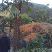 ヒメ日記 2024/12/18 14:38 投稿 紀香 セクシーキャット 神田店