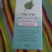 ヒメ日記 2024/12/19 14:38 投稿 紀香 セクシーキャット 神田店