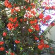 ヒメ日記 2025/01/04 14:28 投稿 紀香 セクシーキャット 神田店