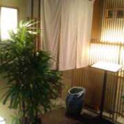 ヒメ日記 2025/02/07 15:37 投稿 紀香 セクシーキャット 神田店