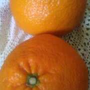 ヒメ日記 2025/03/13 14:25 投稿 紀香 セクシーキャット 神田店