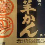 ヒメ日記 2025/03/19 14:21 投稿 紀香 セクシーキャット 神田店