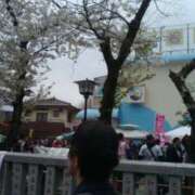 ヒメ日記 2025/04/10 14:32 投稿 紀香 セクシーキャット 神田店