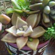 ヒメ日記 2025/04/25 15:26 投稿 紀香 セクシーキャット 神田店