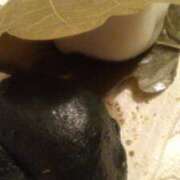 ヒメ日記 2025/04/30 14:42 投稿 紀香 セクシーキャット 神田店