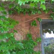 ヒメ日記 2025/05/16 15:46 投稿 紀香 セクシーキャット 神田店