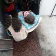 ヒメ日記 2025/06/12 14:28 投稿 紀香 セクシーキャット 神田店