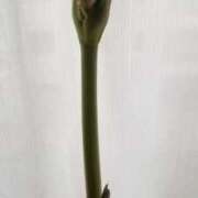 ヒメ日記 2025/06/14 14:42 投稿 紀香 セクシーキャット 神田店