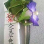 ヒメ日記 2025/07/05 14:37 投稿 紀香 セクシーキャット 神田店