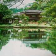 ヒメ日記 2025/07/25 15:45 投稿 紀香 セクシーキャット 神田店