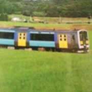 ヒメ日記 2025/08/01 15:23 投稿 紀香 セクシーキャット 神田店