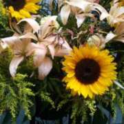 ヒメ日記 2025/08/14 14:45 投稿 紀香 セクシーキャット 神田店