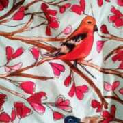 ヒメ日記 2025/08/16 14:42 投稿 紀香 セクシーキャット 神田店