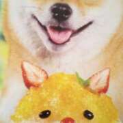 ヒメ日記 2025/08/28 14:26 投稿 紀香 セクシーキャット 神田店