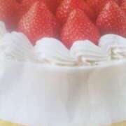 ヒメ日記 2025/09/17 14:31 投稿 紀香 セクシーキャット 神田店