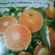 ヒメ日記 2025/10/08 14:37 投稿 紀香 セクシーキャット 神田店