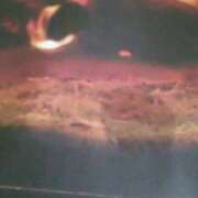 ヒメ日記 2025/10/11 14:25 投稿 紀香 セクシーキャット 神田店