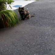 ヒメ日記 2025/10/22 14:28 投稿 紀香 セクシーキャット 神田店