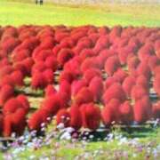 ヒメ日記 2025/10/30 14:46 投稿 紀香 セクシーキャット 神田店