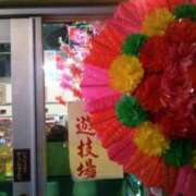 ヒメ日記 2025/11/20 14:37 投稿 紀香 セクシーキャット 神田店