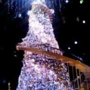 ヒメ日記 2025/11/28 15:30 投稿 紀香 セクシーキャット 神田店