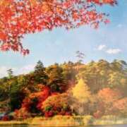 ヒメ日記 2025/12/03 14:31 投稿 紀香 セクシーキャット 神田店