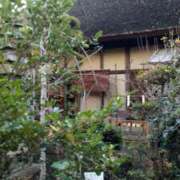 ヒメ日記 2025/12/17 14:33 投稿 紀香 セクシーキャット 神田店