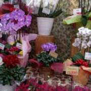 ヒメ日記 2025/12/18 14:24 投稿 紀香 セクシーキャット 神田店