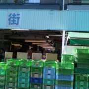 ヒメ日記 2026/01/16 15:35 投稿 紀香 セクシーキャット 神田店