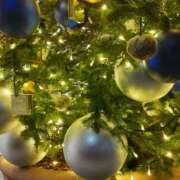 ヒメ日記 2024/12/13 15:16 投稿 蘭子 セクシーキャット 神田店