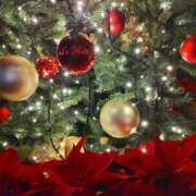 ヒメ日記 2024/12/17 15:04 投稿 蘭子 セクシーキャット 神田店