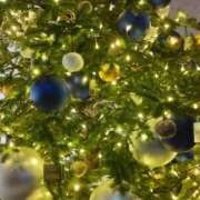 ヒメ日記 2024/12/23 15:15 投稿 蘭子 セクシーキャット 神田店