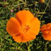 ヒメ日記 2025/05/18 15:11 投稿 蘭子 セクシーキャット 神田店