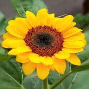 ヒメ日記 2025/08/11 14:48 投稿 蘭子 セクシーキャット 神田店