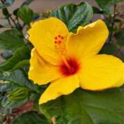 ヒメ日記 2025/08/19 14:52 投稿 蘭子 セクシーキャット 神田店