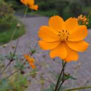 ヒメ日記 2025/08/31 14:53 投稿 蘭子 セクシーキャット 神田店