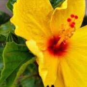 ヒメ日記 2025/09/19 15:08 投稿 蘭子 セクシーキャット 神田店