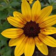 ヒメ日記 2025/09/22 15:05 投稿 蘭子 セクシーキャット 神田店