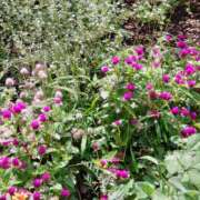 ヒメ日記 2025/10/05 15:01 投稿 蘭子 セクシーキャット 神田店