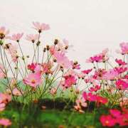 ヒメ日記 2025/10/20 14:56 投稿 蘭子 セクシーキャット 神田店