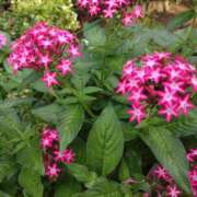 ヒメ日記 2025/10/21 15:00 投稿 蘭子 セクシーキャット 神田店