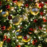 蘭子 こんにちは セクシーキャット 神田店