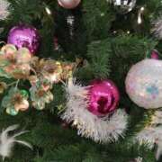 ヒメ日記 2025/12/22 15:04 投稿 蘭子 セクシーキャット 神田店