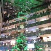 ヒメ日記 2025/12/23 15:07 投稿 蘭子 セクシーキャット 神田店