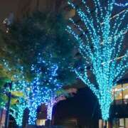 ヒメ日記 2026/02/23 22:30 投稿 蘭子 セクシーキャット 神田店